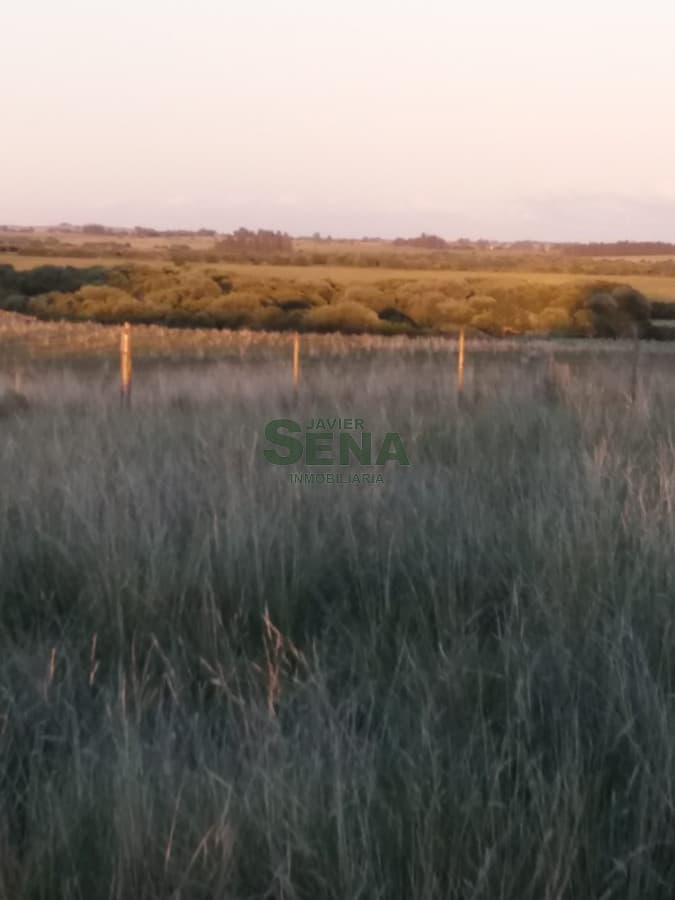 Venta de cxhacra en Ruta 39, a 7 kilometros de San Carlos.