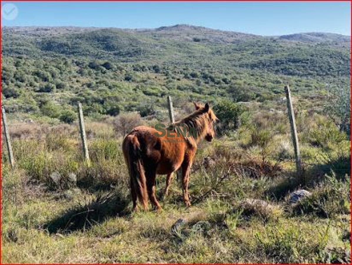 Venta de chacra en los Talas, 5 Hectareas con agua.