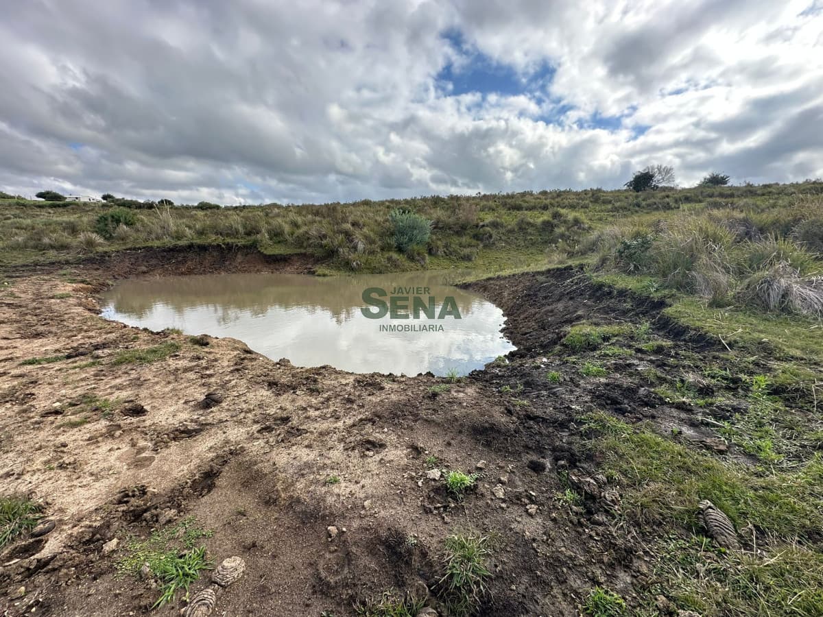 Venta de chacra en Carapé con tajamar, 5 hectareas, muy lindo lugar.