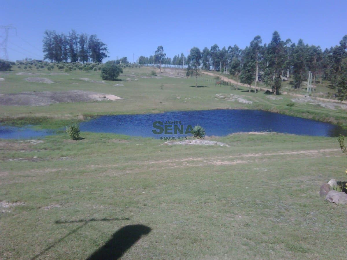 Venta chacra Maldonado sobre ruta 12, 5 Hectareas con casa de 4 Dormitorios.