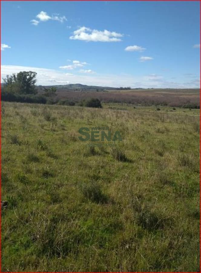 Venta de chacra en Sierras de Carape, 35 hectareas con buen acceso.