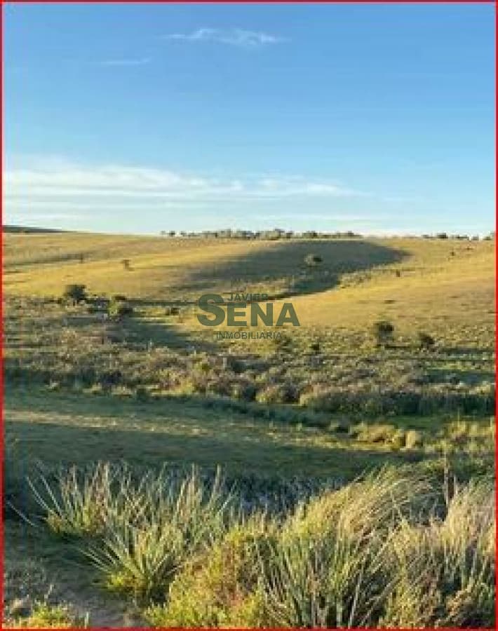 Venta de chacra en Garzon, son 8 hectareas con buenas vista y agua.