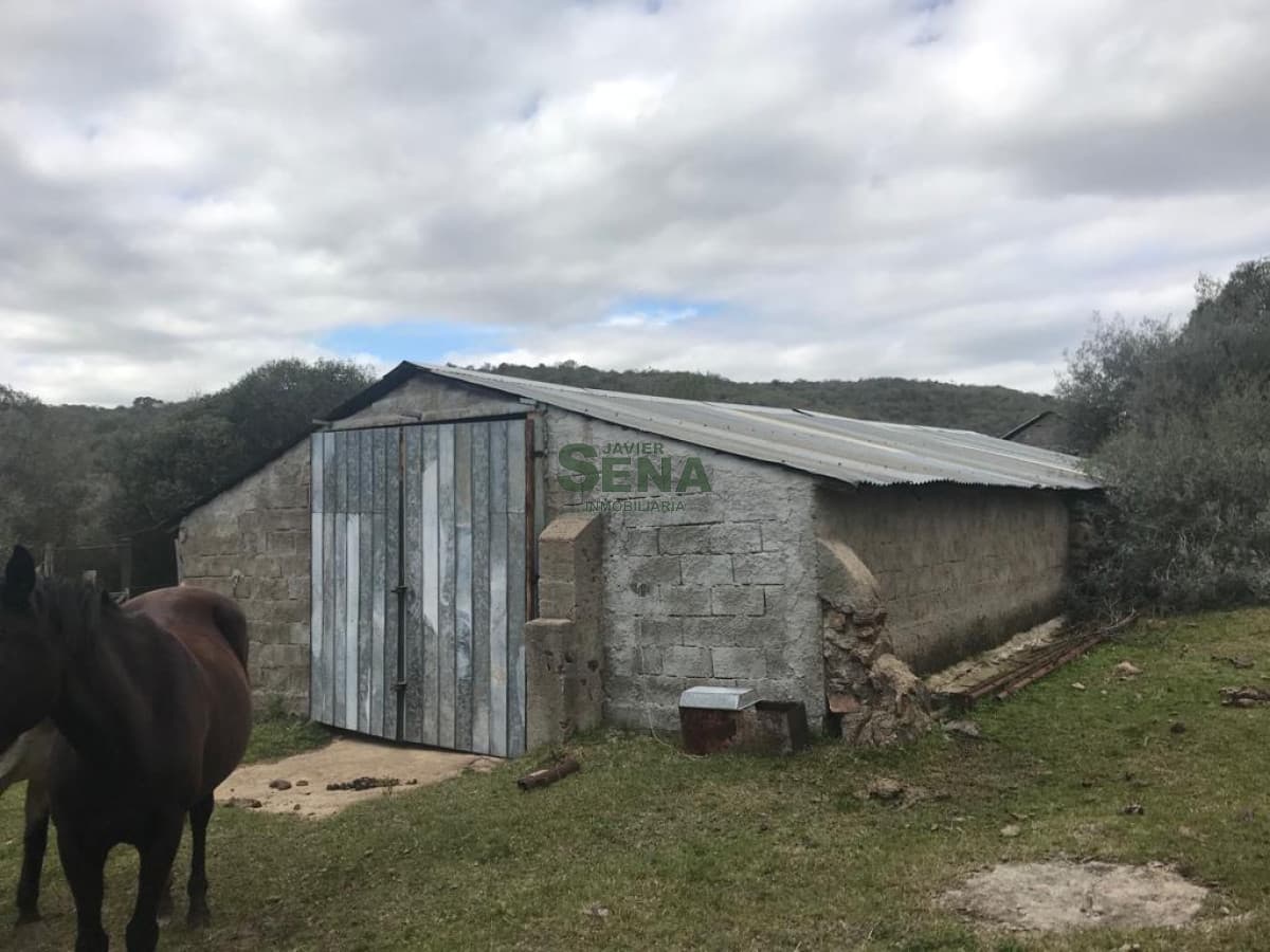 Venta de chacra en sierras de Lavalleja, 2 dormitorios, baño, lindo lugar.