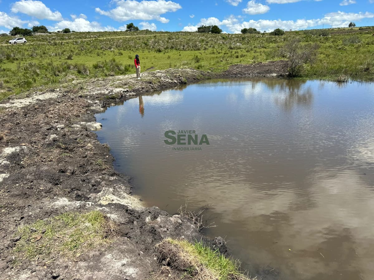 Venta de chacra en Carapé con tajamar, 5 hectareas, muy lindo lugar.