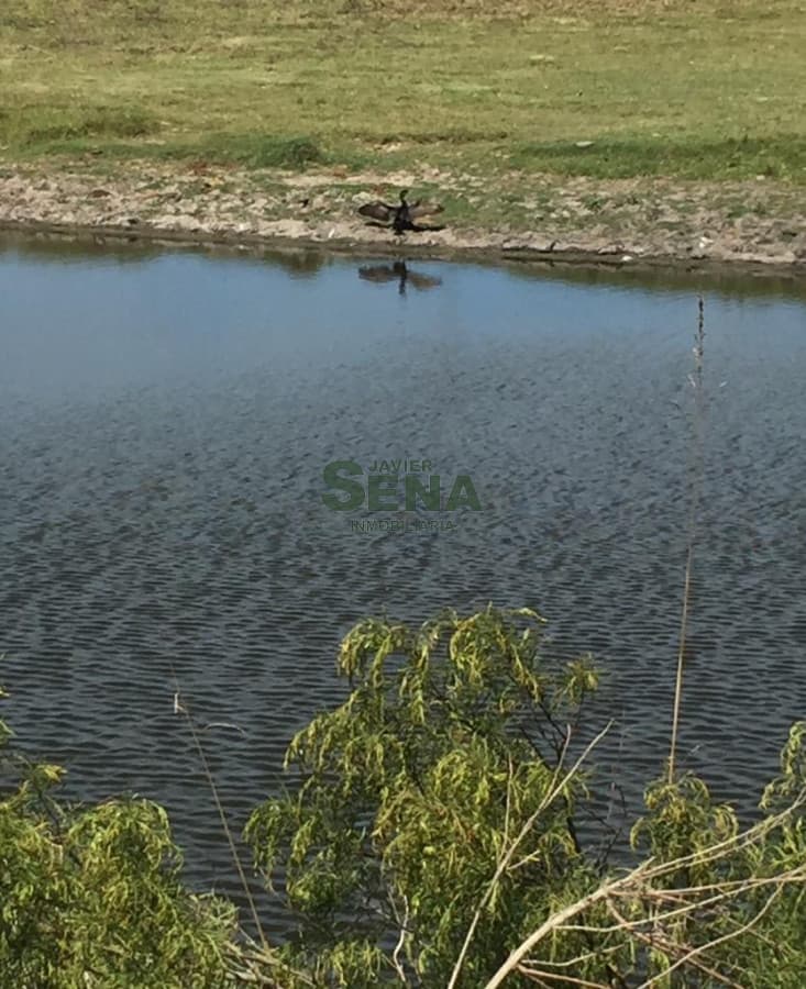 Venta de chacra en Laguna del Sauce, 5 hectareas cerca del mar.