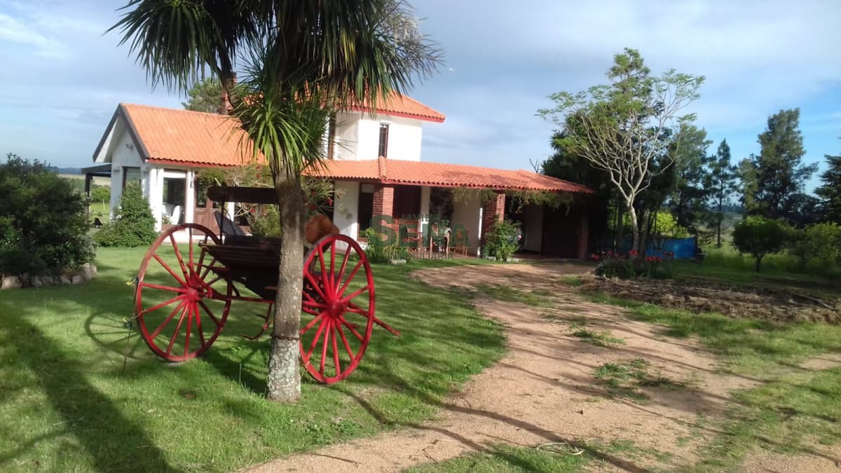 Venta de Chacra Ruta 39, a pocos kmt. de Maldonado , 8 Hectareas y media