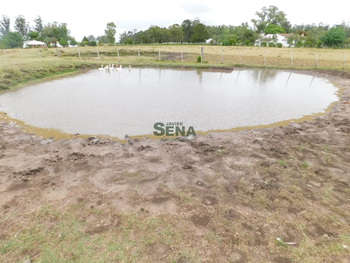 Venta de chacra de 35 hectareas, 3 dormitorios, lindo lugar.