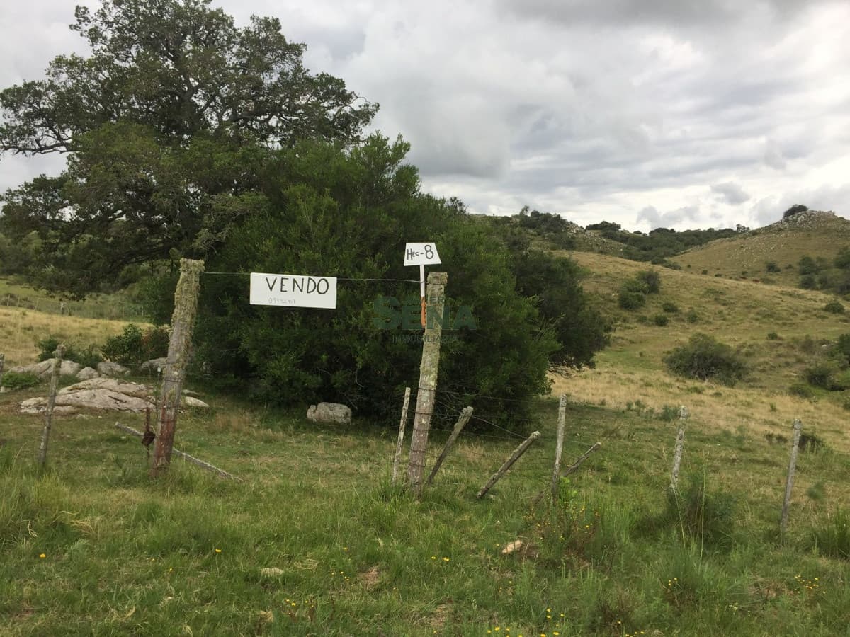 Venta de chacra en la coronilla, zona Aigua, 8 Hectareas.