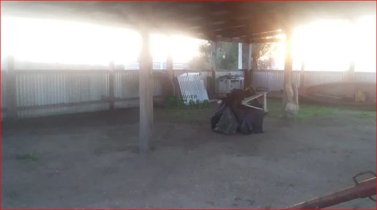 Venta de chacra en rocha, 6 hectareas.