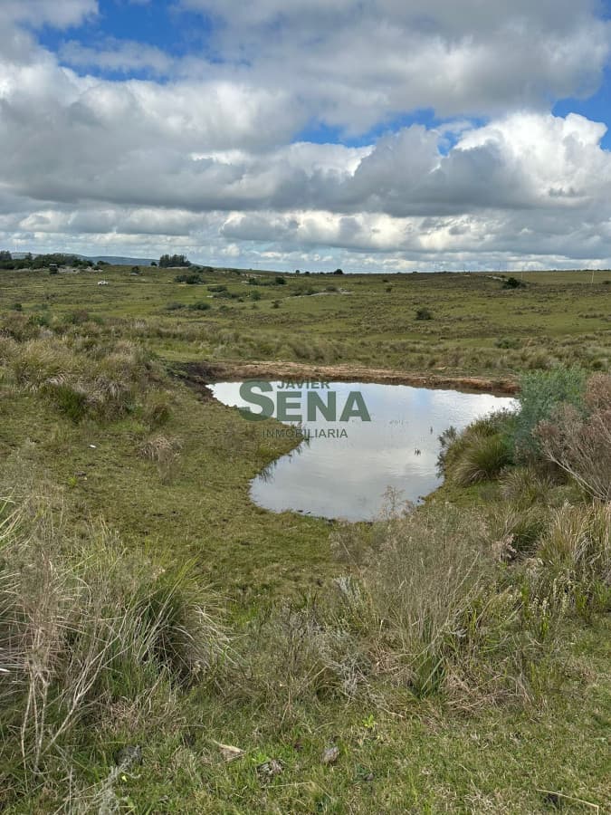 Venta de chacra en Carapé con tajamar, 5 hectareas, muy lindo lugar.