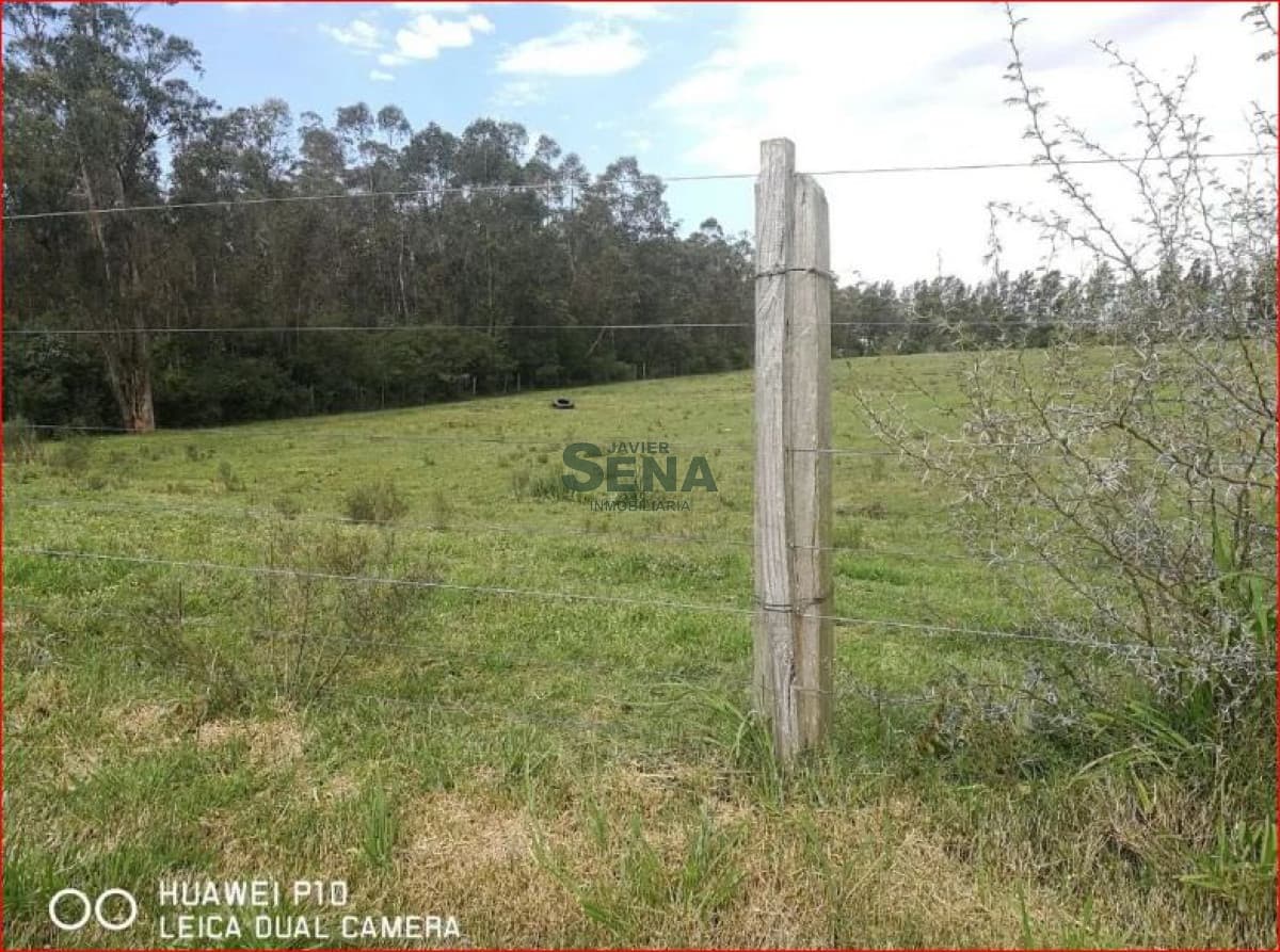 Venta de chacra en Montevideo, 3,5 Hectareas en melilla