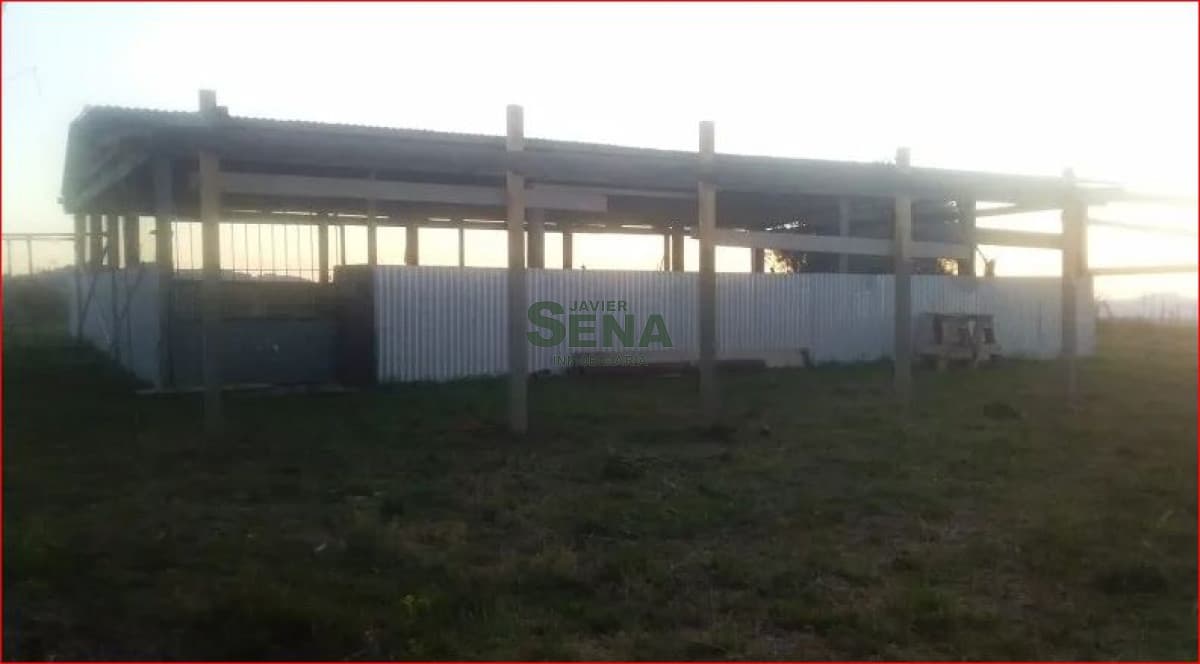 Venta de chacra en rocha, 6 hectareas.