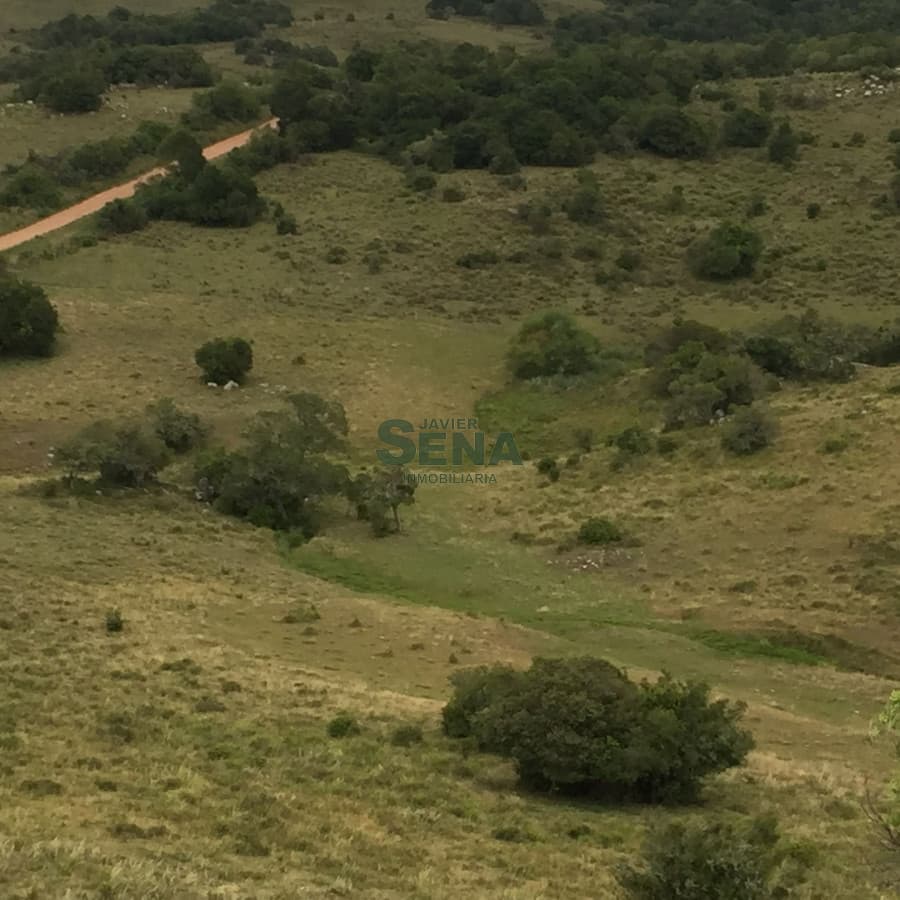 Venta de chacra en la coronilla, zona Aigua, 8 Hectareas.