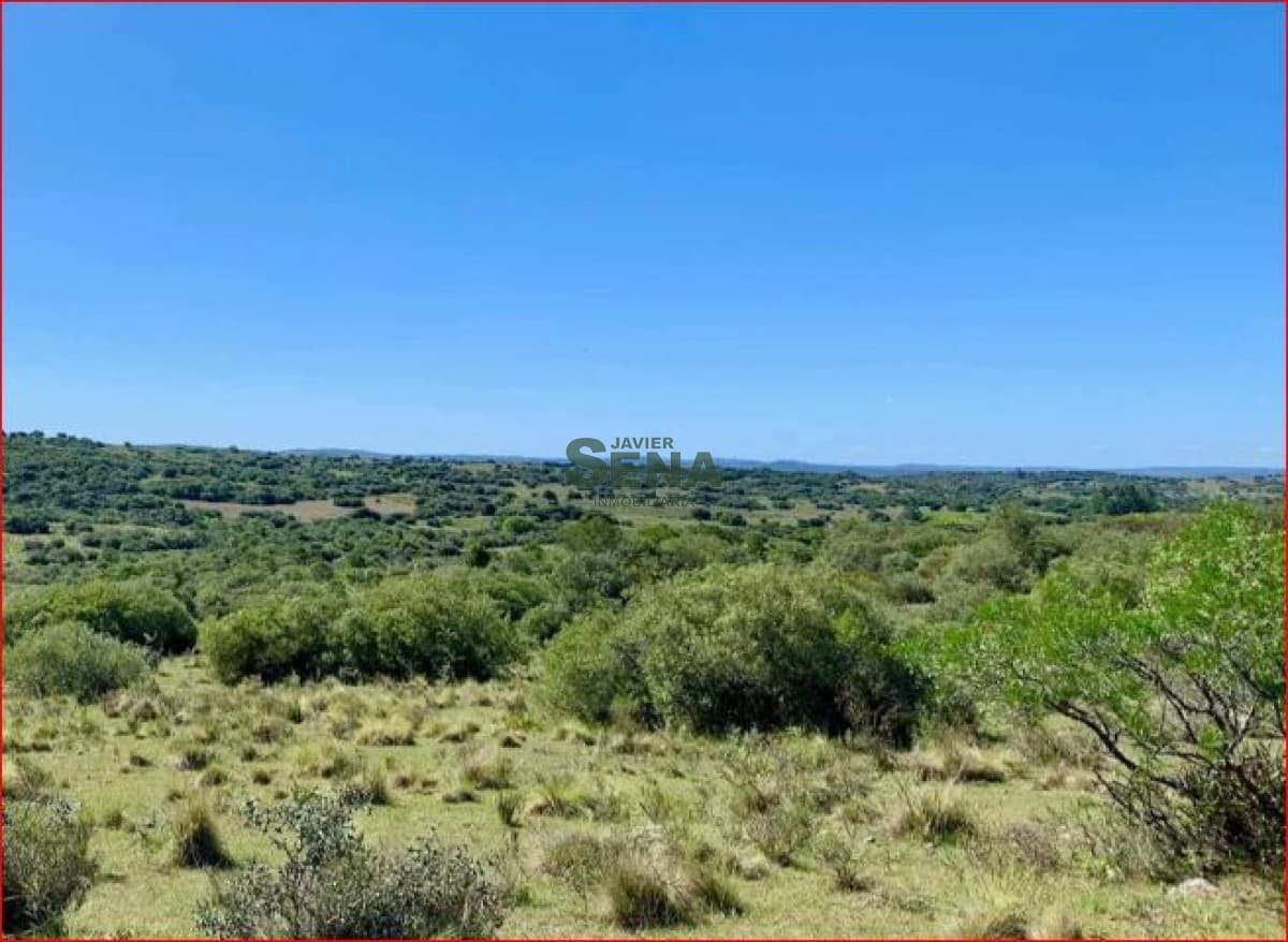 Venta de chacras en ruta 109, son chacras de 5 hectareas, con camino y buen acceso.