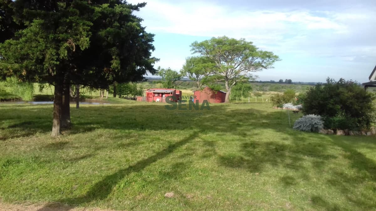 Venta de Chacra Ruta 39, a pocos kmt. de Maldonado , 8 Hectareas y media