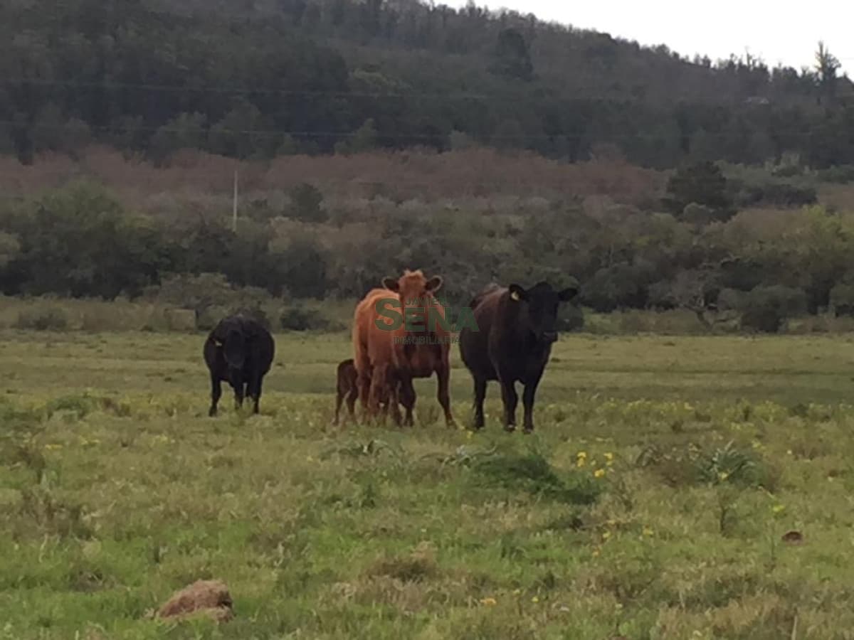 Venta de chacra en Laguna del Sauce, 5 hectareas cerca del mar.