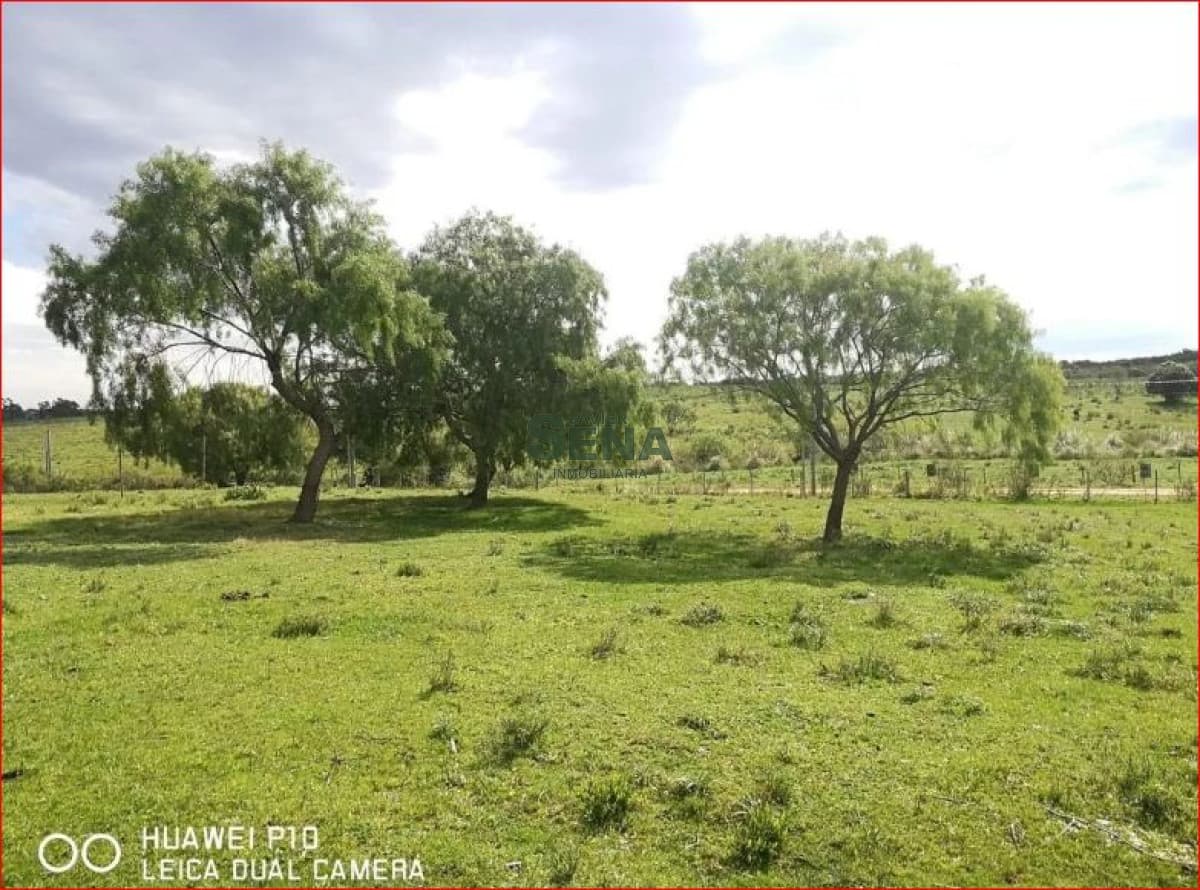 Venta de chacra en Montevideo, 3,5 Hectareas en melilla