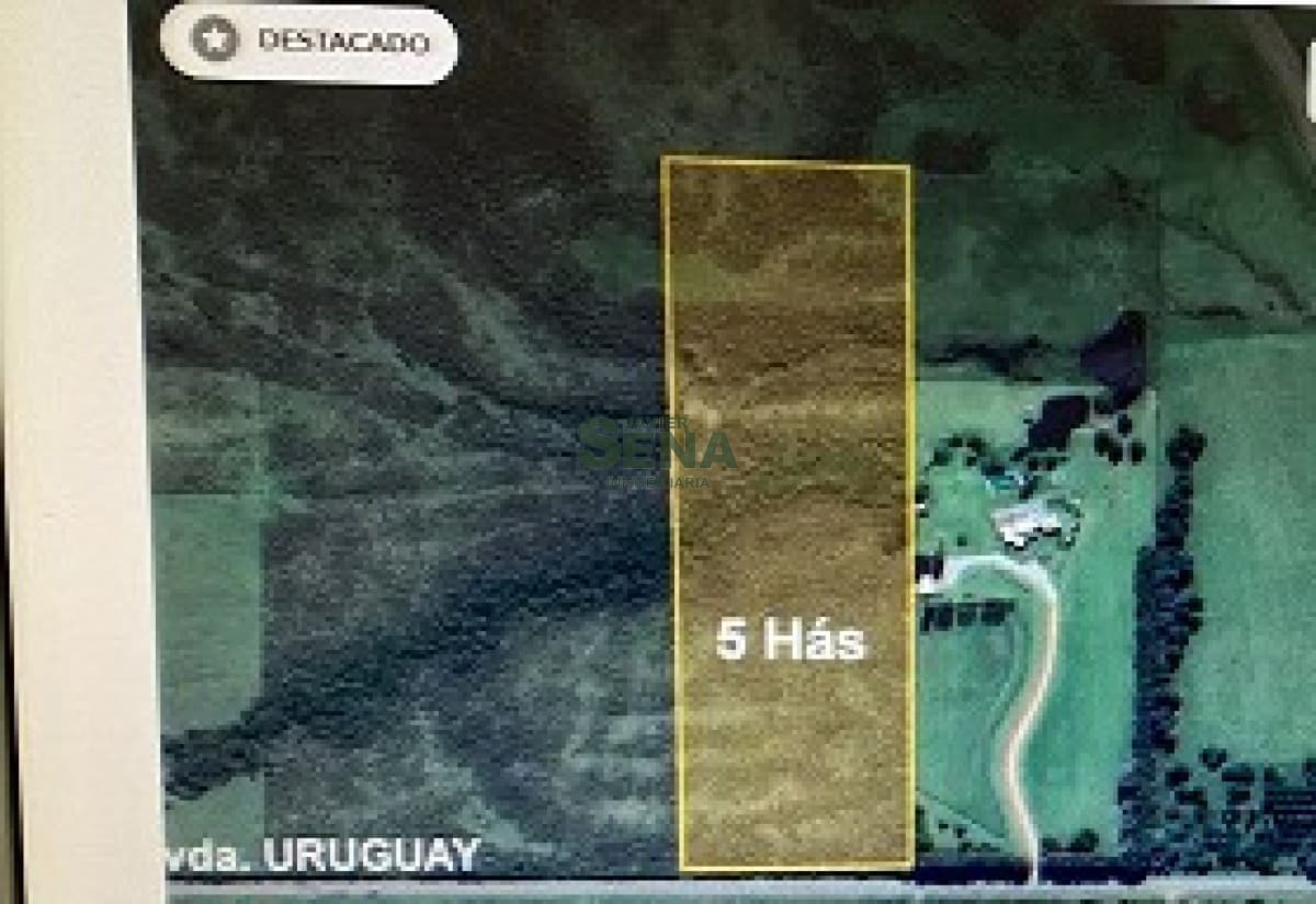 venta de chacra 5 has en Piriápolis, sobre ruta.