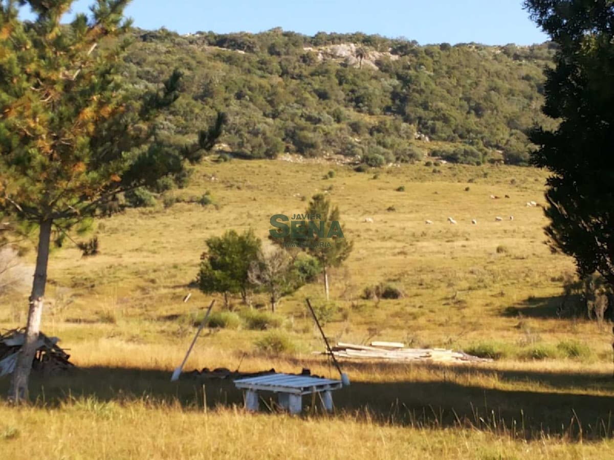 Venta de chacra en Sierra de los Caracoles, 5 has. con muy linda edificacion.