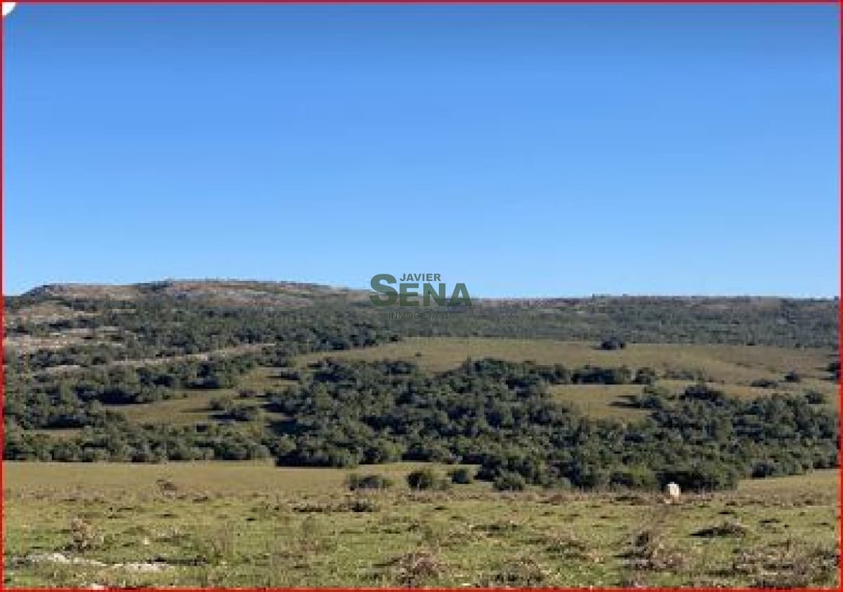 Venta de chacra en los Talas, 5 Hectareas con agua.