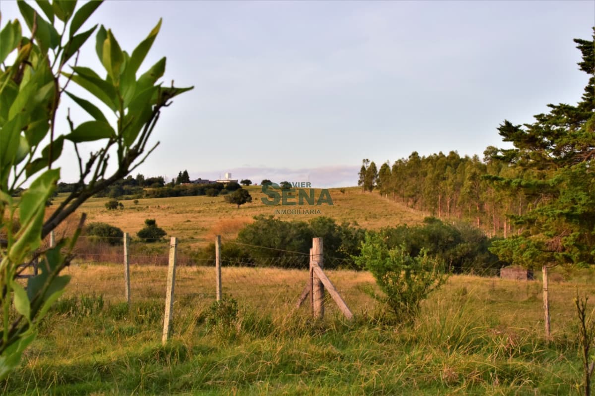 Venta chacra San Carlos, 6 Hectareas con edificacion, arroyo.