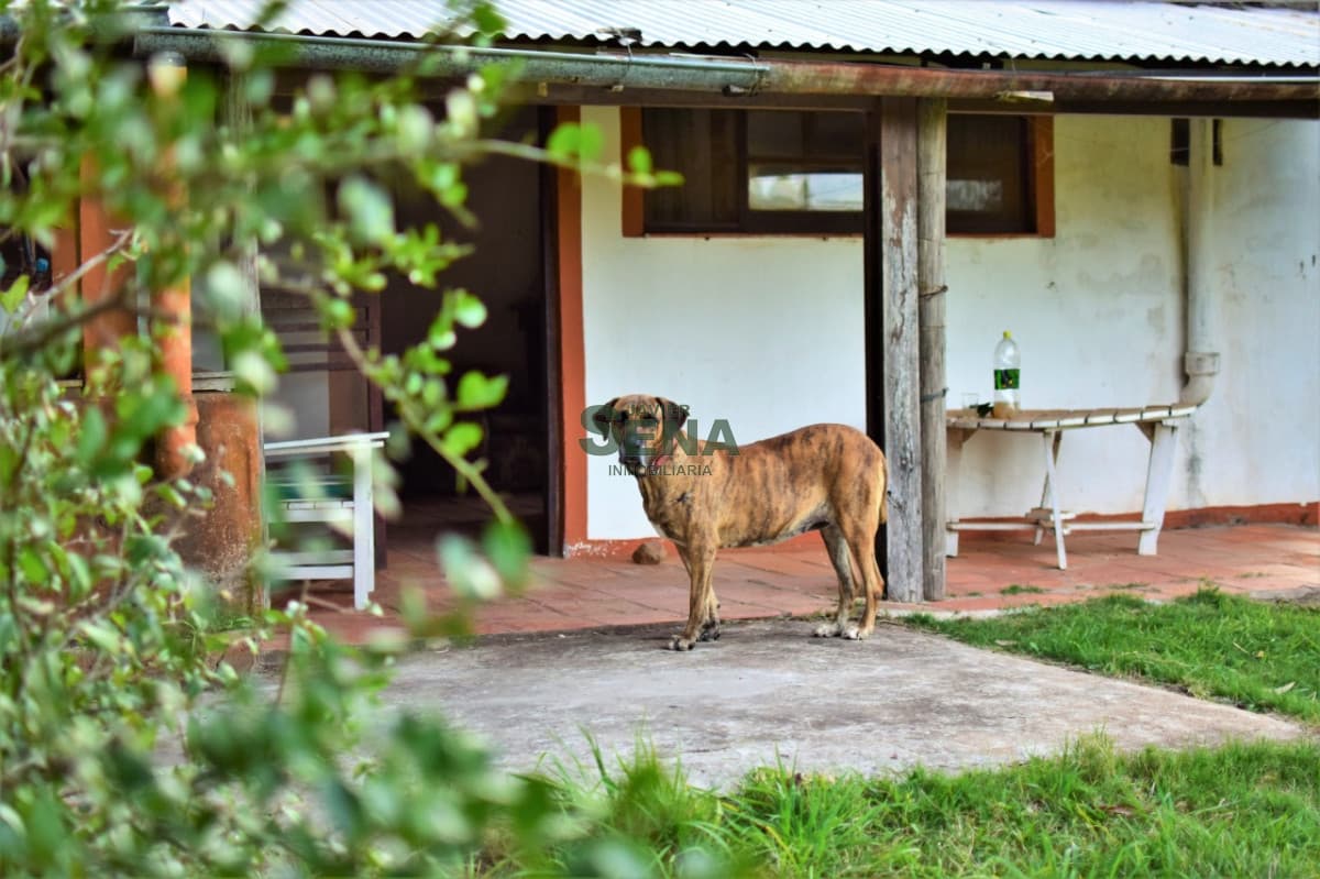 Venta chacra San Carlos, 6 Hectareas con edificacion, arroyo.