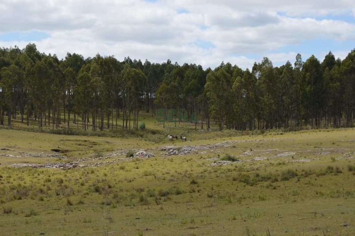 Venta de chacra en las Sierra de los caracoles, unico para descansar