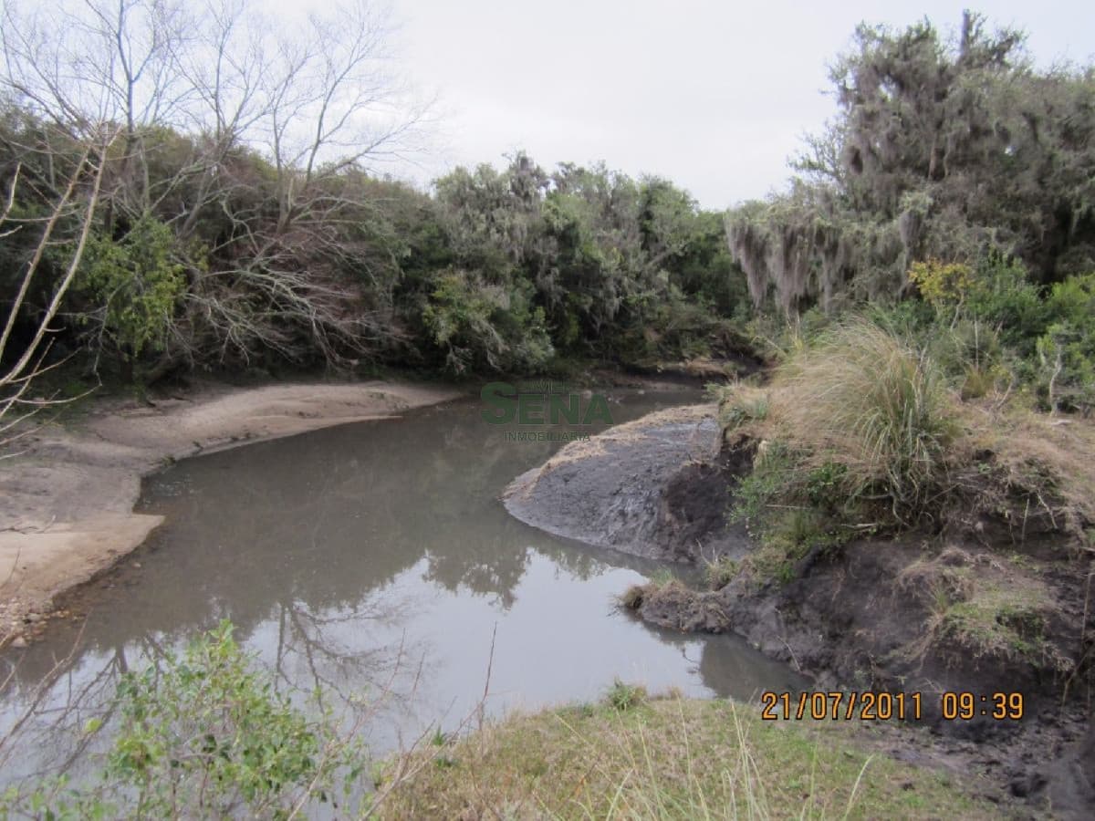 Venta de Campo en Treinta y Tres, 90 has. de buen campo, con agua permanente.