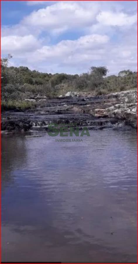 Venta de campo zona de Aigua, 61 hectareas, con buen acceso, aguadas.