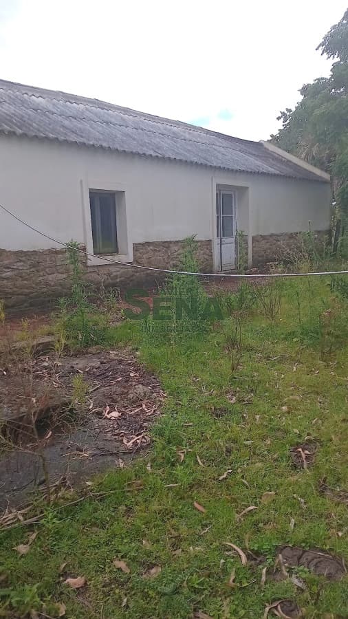 Venta de campo en Ruta 39, de 65 hectáreas ganadero forestal.