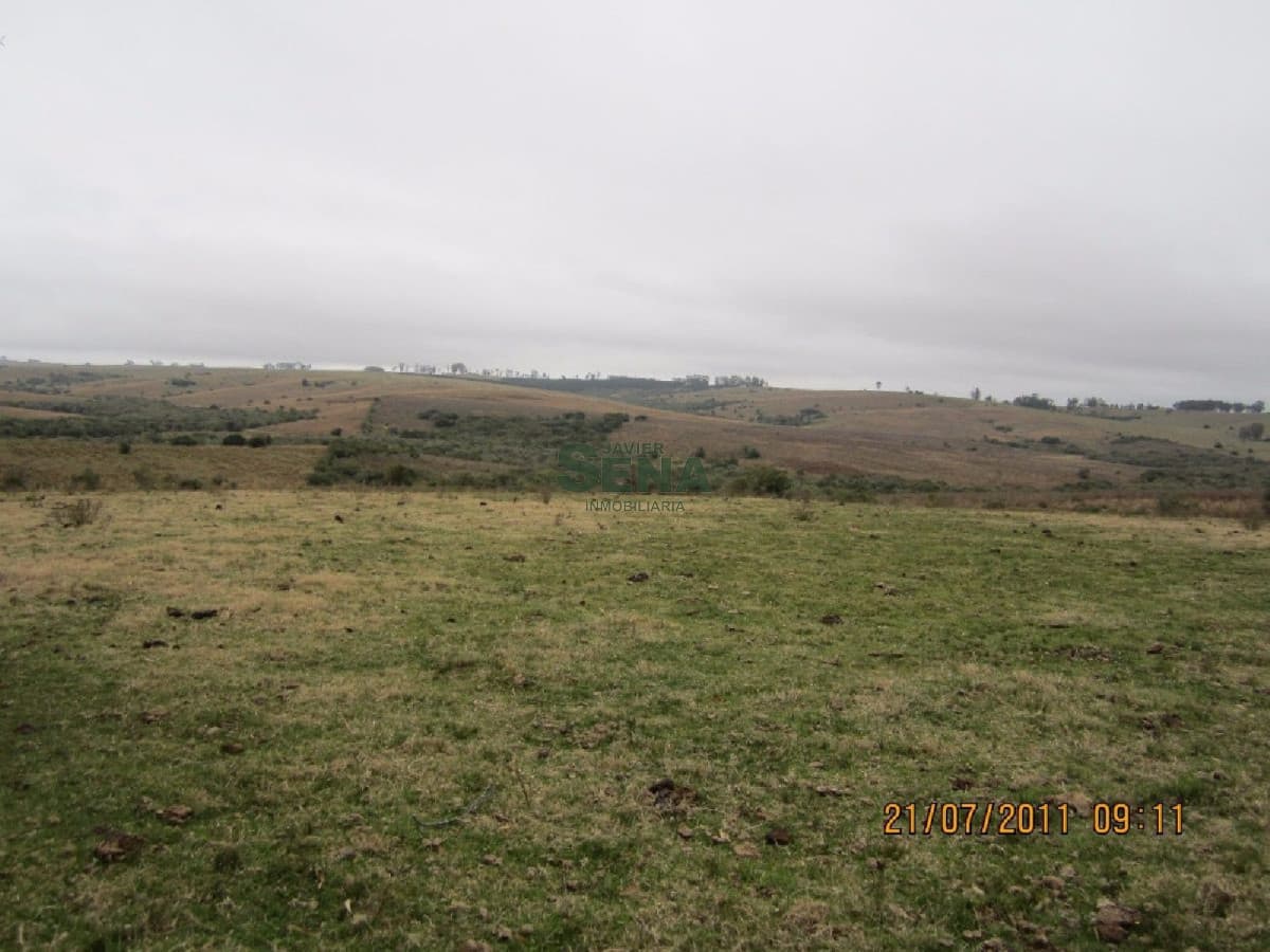 Venta de Campo en Treinta y Tres, 90 has. de buen campo, con agua permanente.