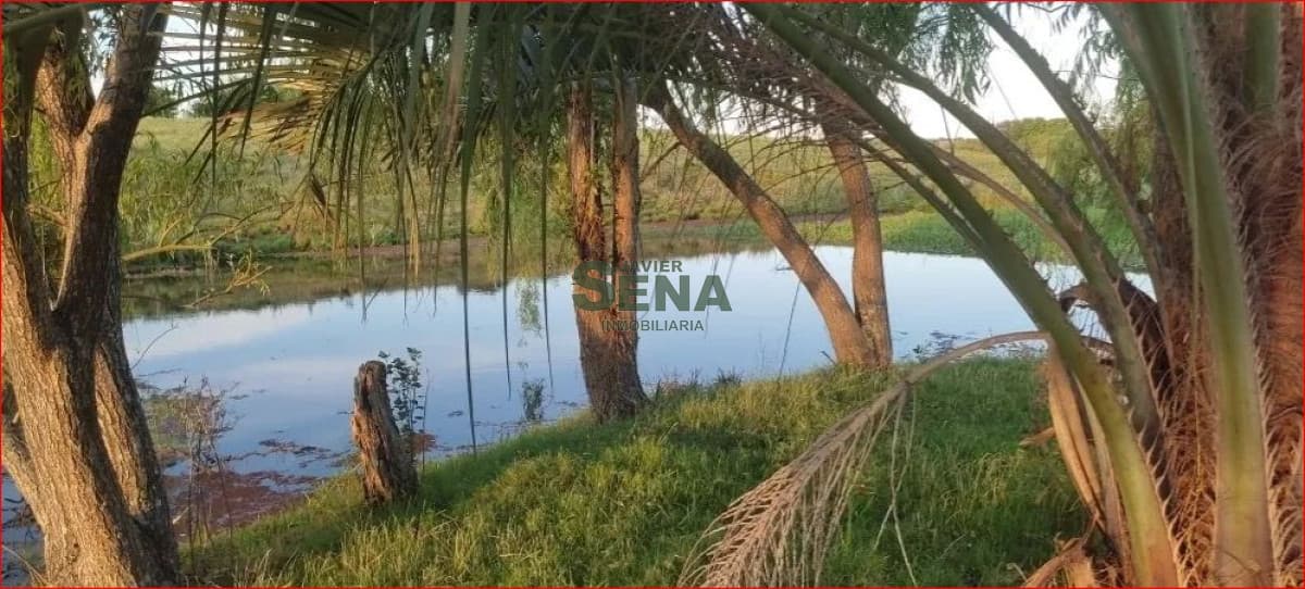 Venta de campo en Garzon, 30 hectareas con arroyo y casa para reciclar.
