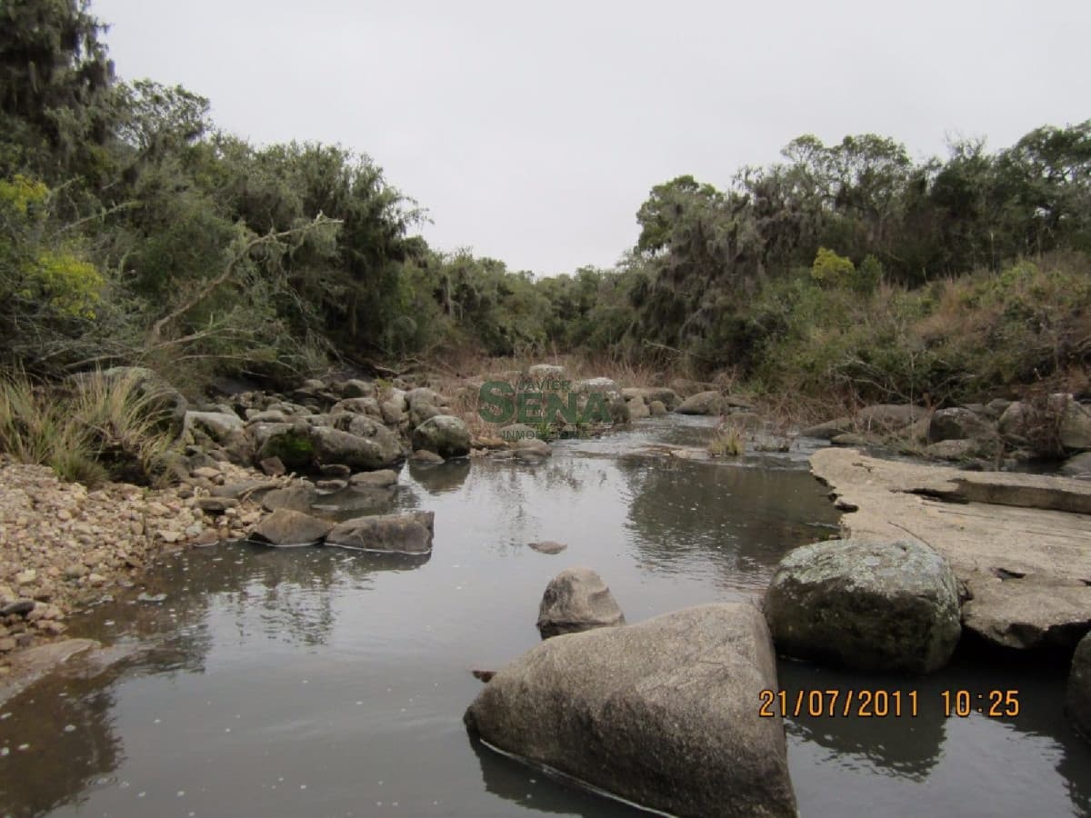 Venta de Campo en Treinta y Tres, 90 has. de buen campo, con agua permanente.