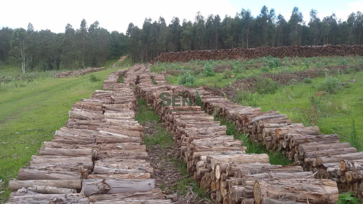 Venta de Campo en Treinta y Tres, 90 has. de buen campo, con agua permanente.