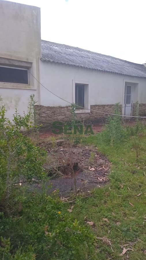 Venta de campo en Ruta 39, de 65 hectáreas ganadero forestal.