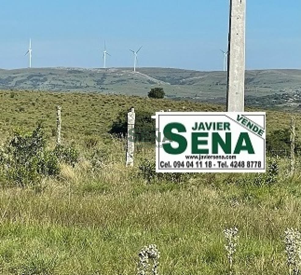 Venta de campo en Ruta 39, de 65 hectáreas ganadero forestal.