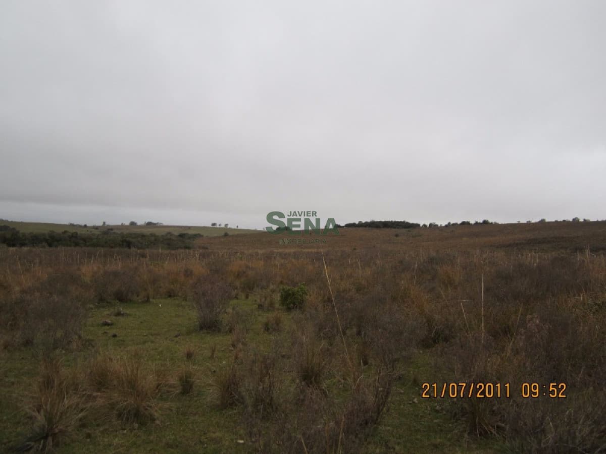 Venta de Campo en Treinta y Tres, 90 has. de buen campo, con agua permanente.