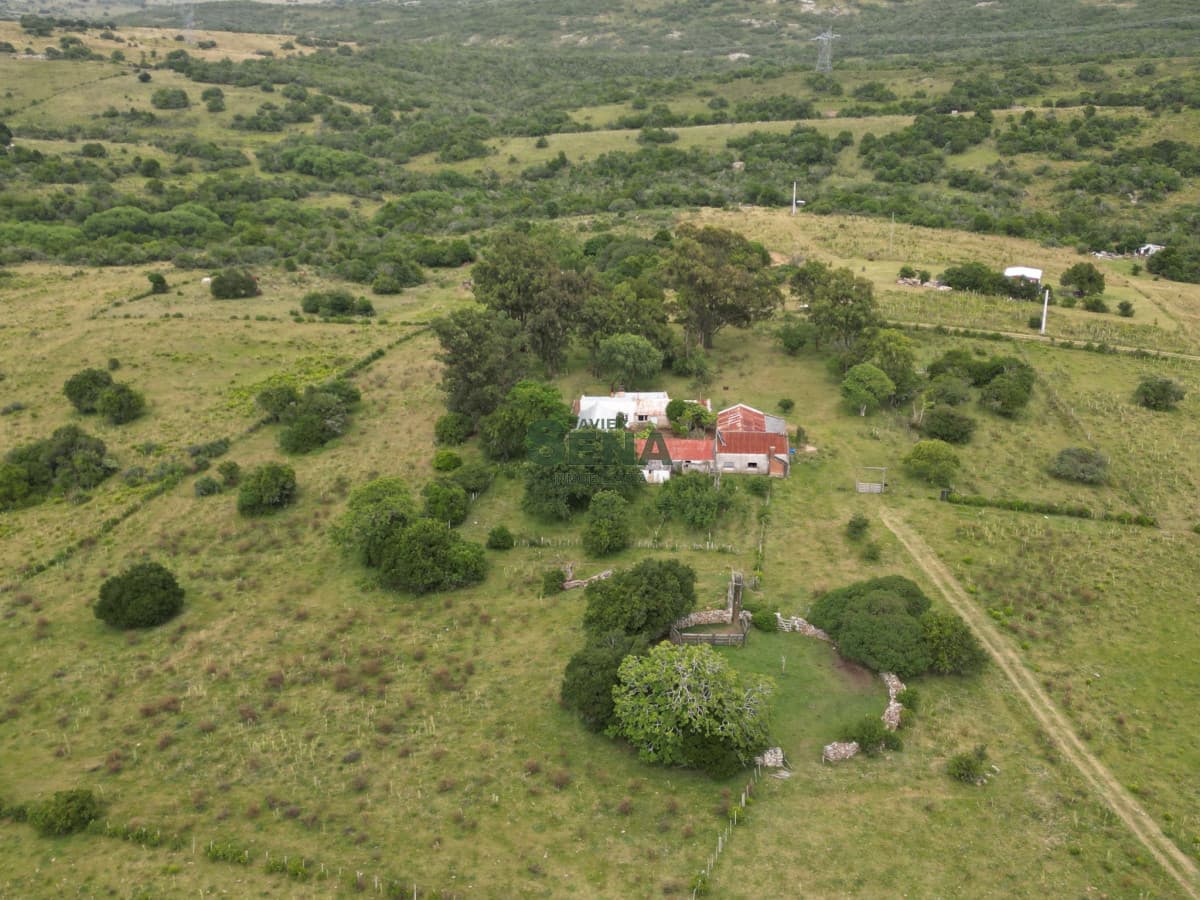 Venta de campo en Ruta 39, de 65 hectáreas ganadero forestal.