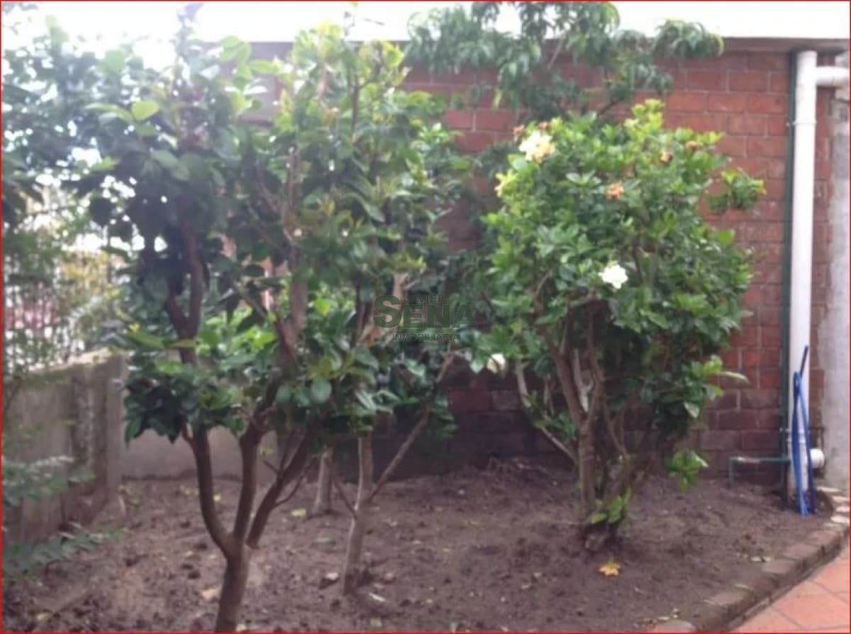 Venta  y alquiler de local centro de Maldonado, con vivienda.