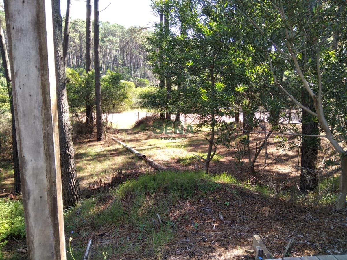 Venta de terreno en Chihuahua, son 1034m2 de tierra, con piscina y deck.
