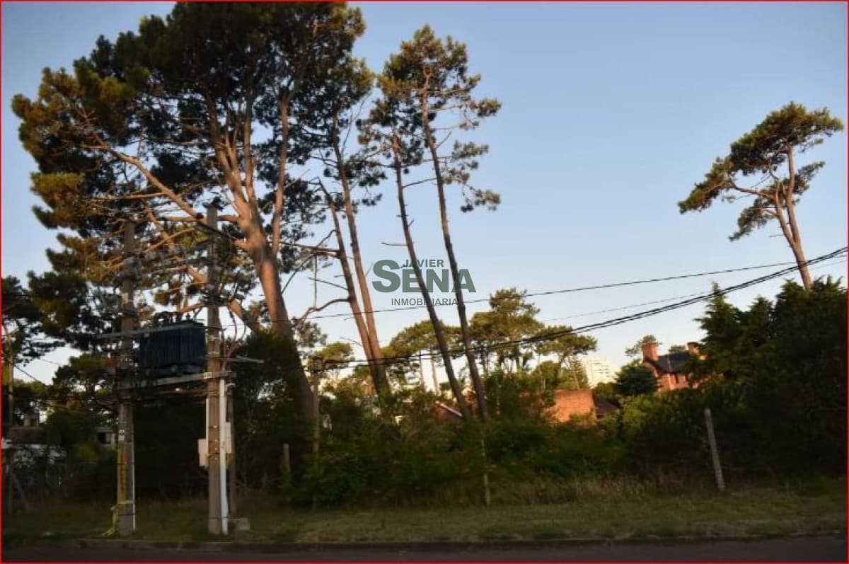 Venta de terreno en la Mansa, 1053m2 de tierra para construir un gran chalet.