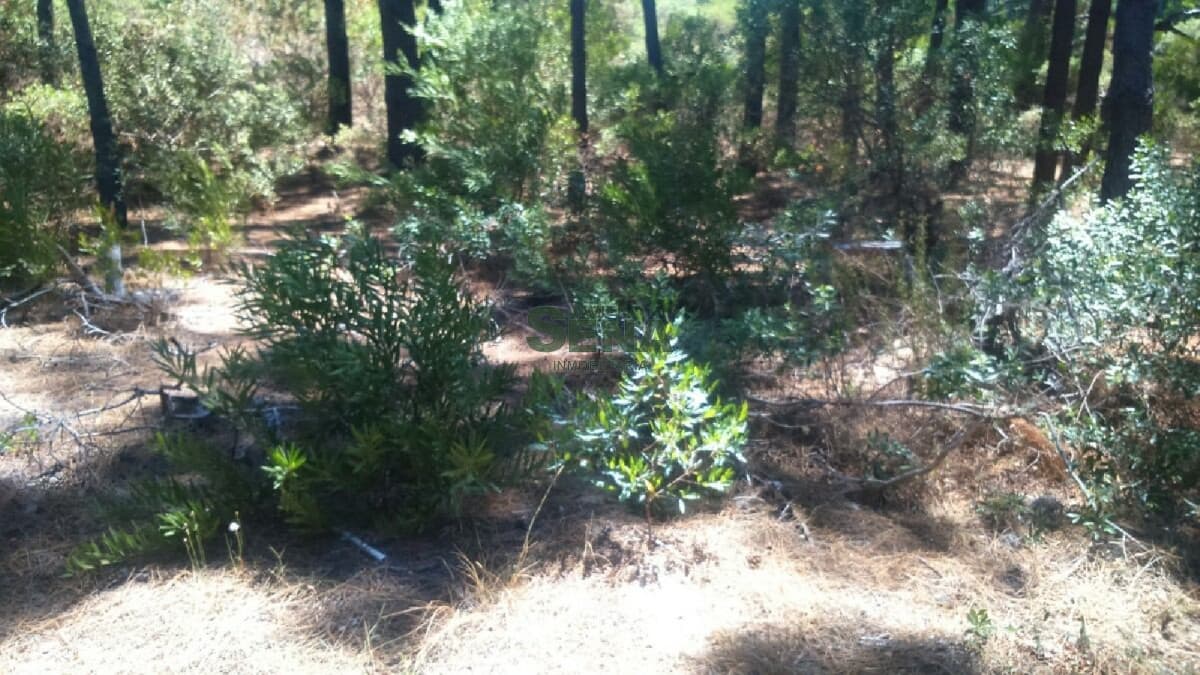Venta de terreno en el Club del Lago, lindo terreno y barato