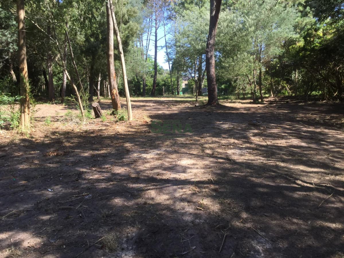 Venta de lote en el golf, gran entorno, son 3400M2 de tierra para edificar un gran Chalet.