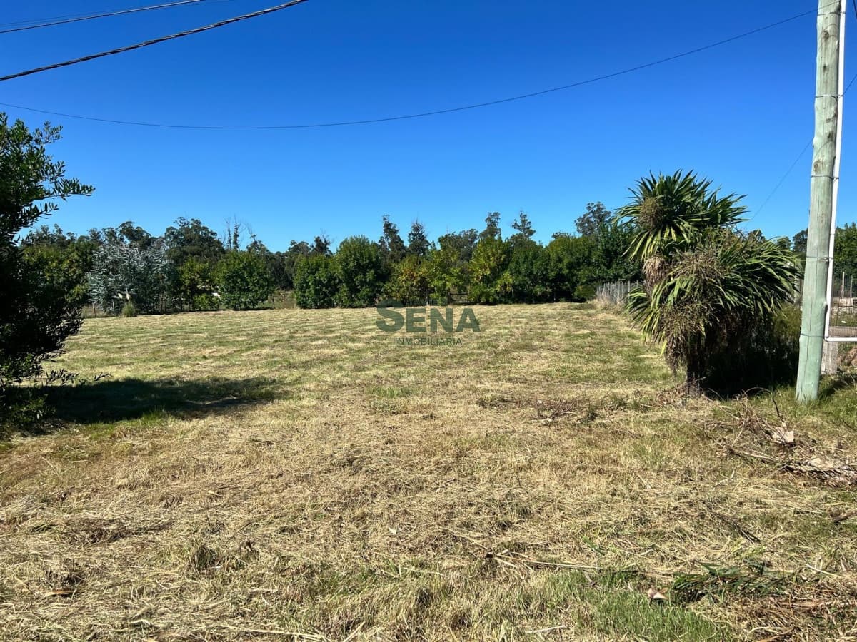 Venta de terreno en la barra, 900m2 de tierra.