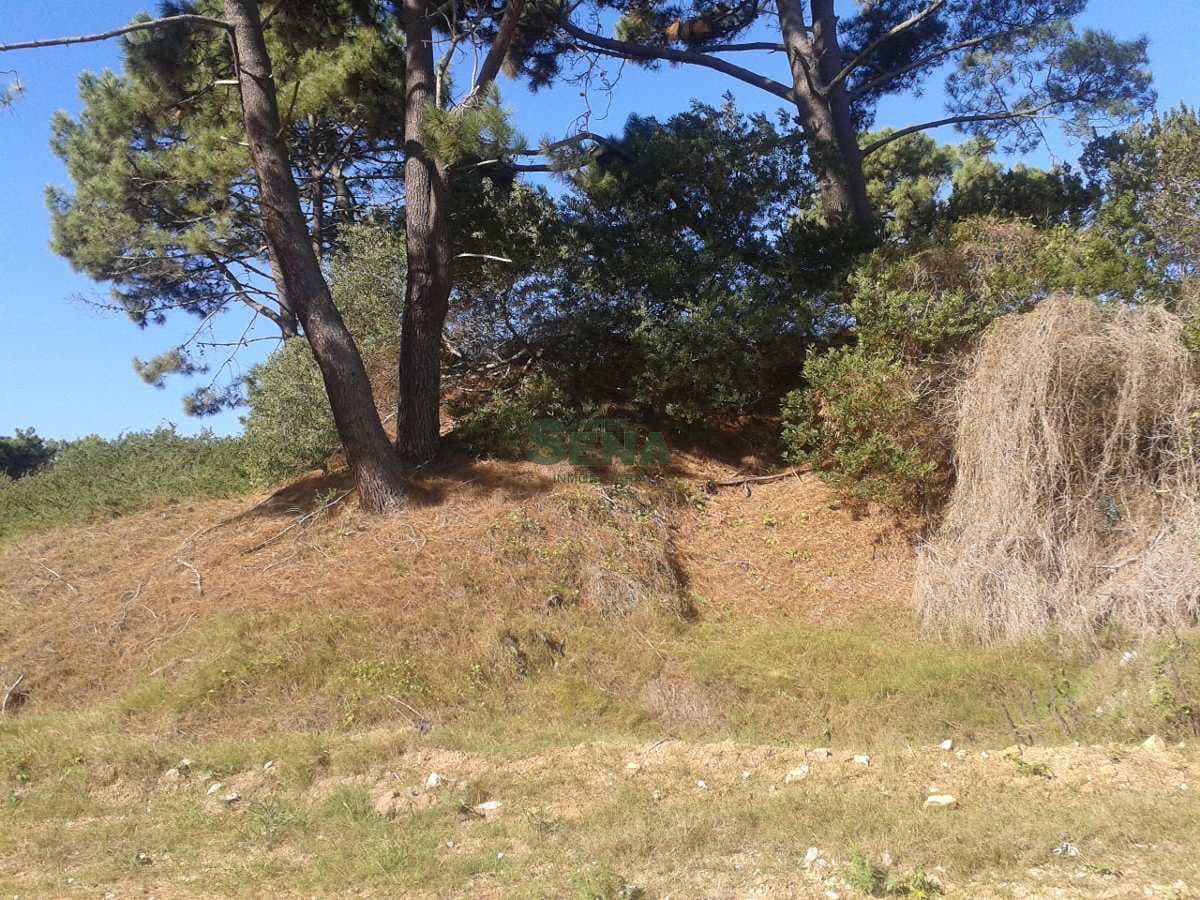 Venta de tierra Rincon del Indio, 2200M2 de tierra, 4 pisos.