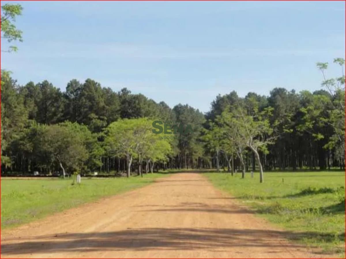 Venta de lote en barrio privado Punta Ballena, 2000m2 de tierra con servicios.