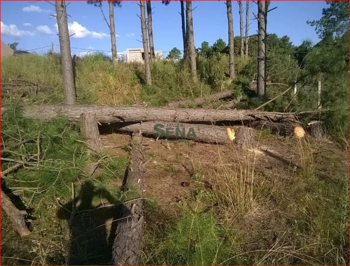 Venta de lote en altos de la laguna, para vivir todo el año.