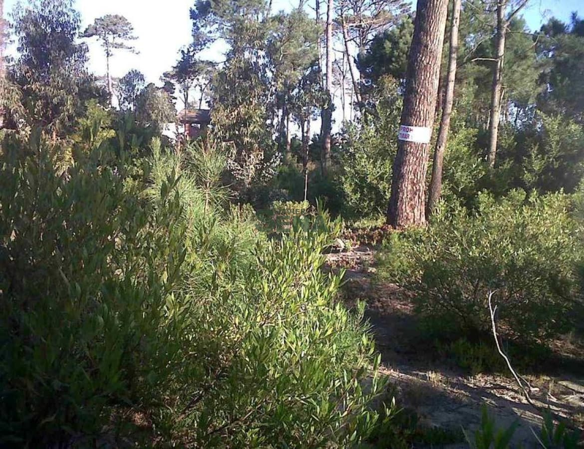 Venta,  Gran terreno con frente a importante avenida