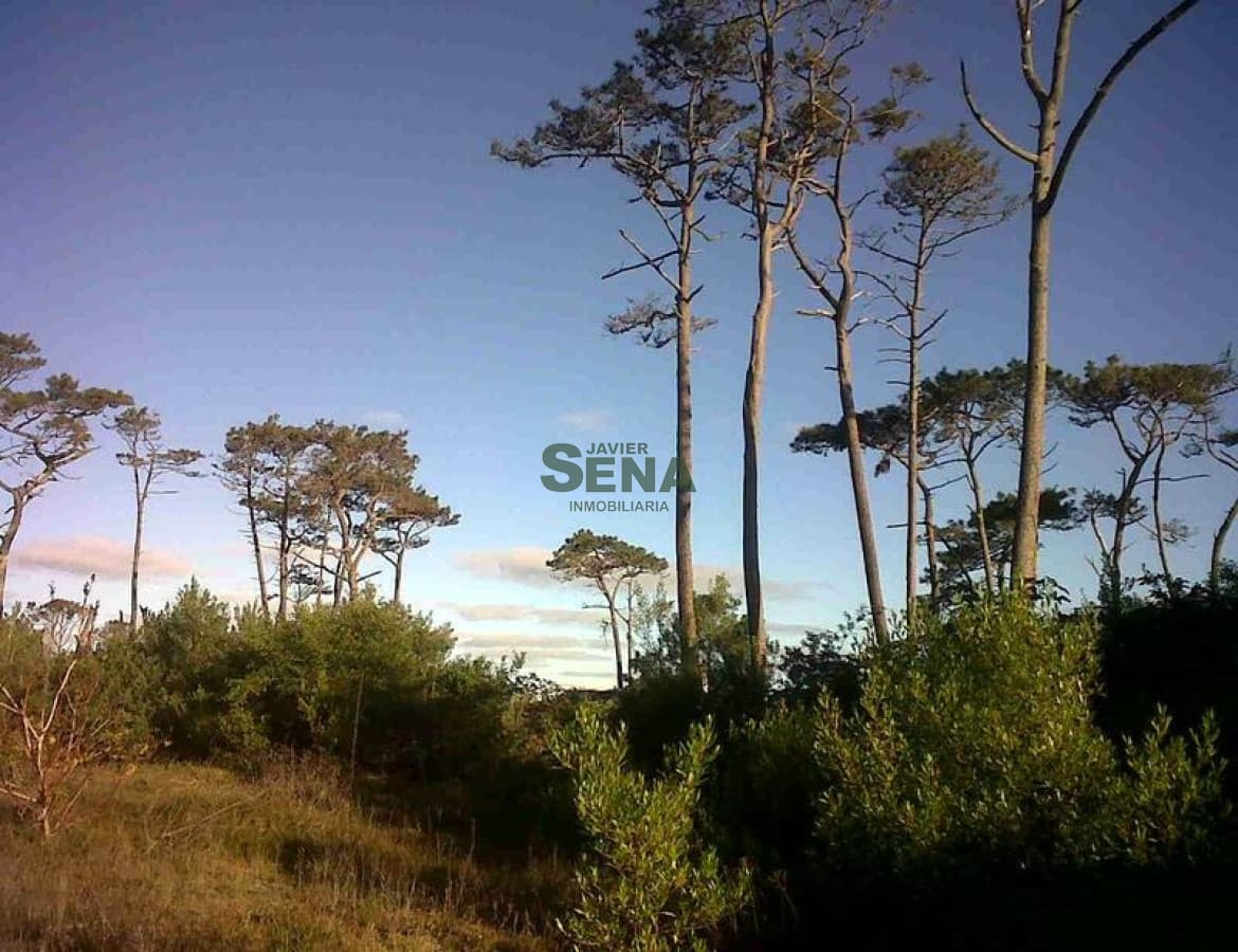 Venta,  Gran terreno con frente a importante avenida