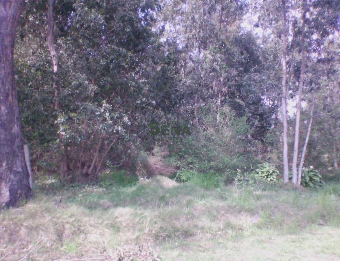 La barra, Terreno en zona tranquila y cerca de todo.c